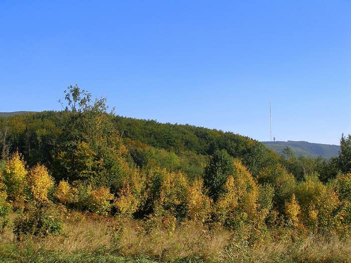 A Dubník adótorony őszi erdő közepén