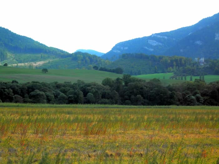 Blatnica Castle ruins seen from the forest path