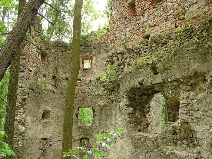 Dobrá Voda Castle seen from the forest below