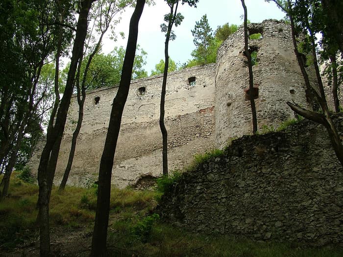 Walls of Dobrá Voda Castle overgrown with vegetation