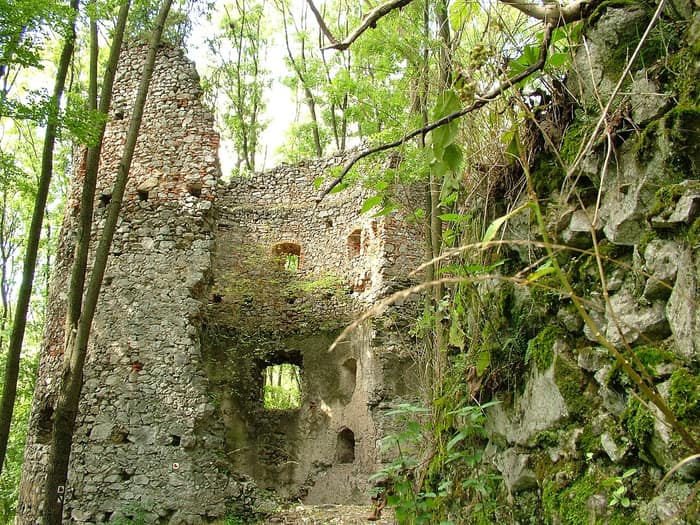 Ruined masonry of Dobrá Voda Castle
