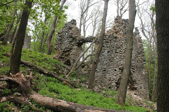 Wooded slopes of Záruby near Ostrý Kameň