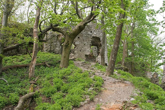 Forested ridge of Záruby in the Little Carpathians