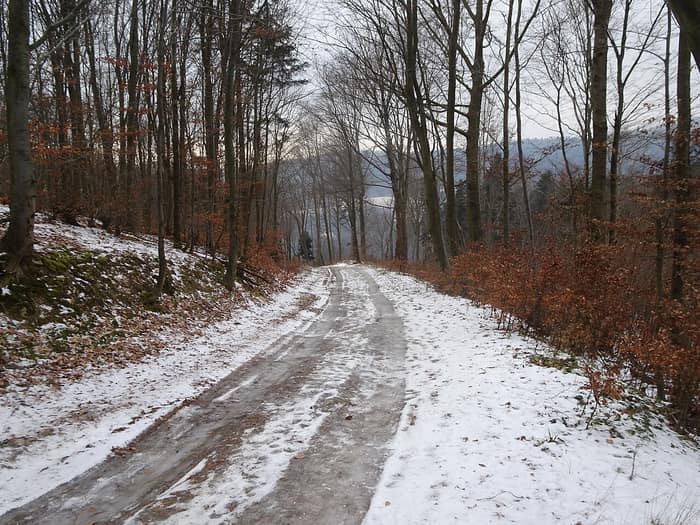 Cesta vedúca k Zborovskému hradu