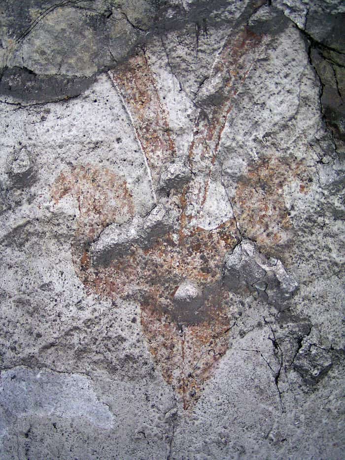 Fleur-de-lis motif in Holy Trinity Cathedral, Žilina, view 3